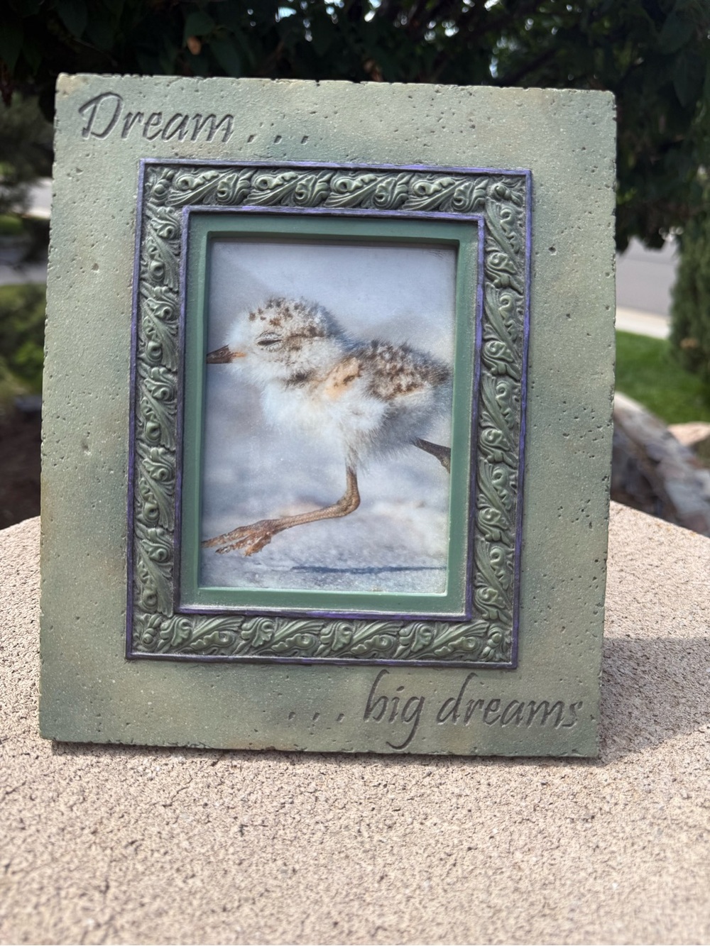 Bill Stross HearthStone Demdaco Green Embossed 'Dream' Picture Frame
